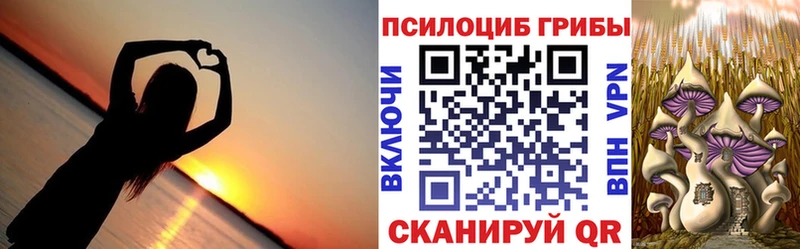 МЕГА зеркало где купить наркоту Боготол Псилоцибиновые грибы ЛСД