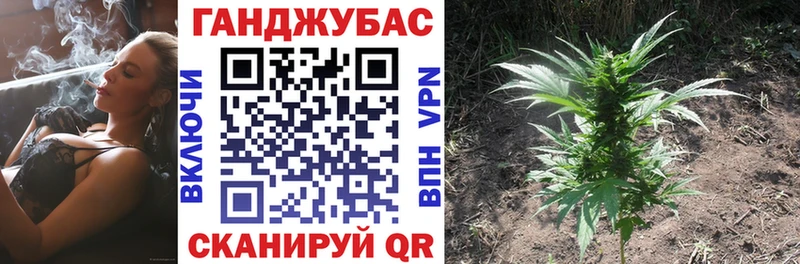 Шишки марихуана конопля Боготол